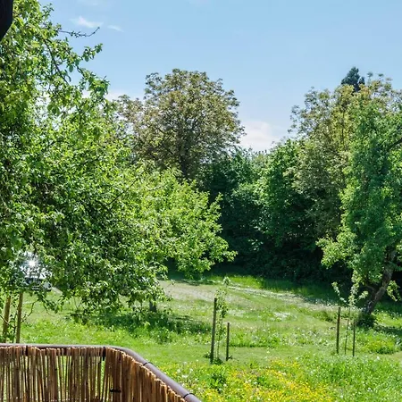 Zum Hecht Appartement *